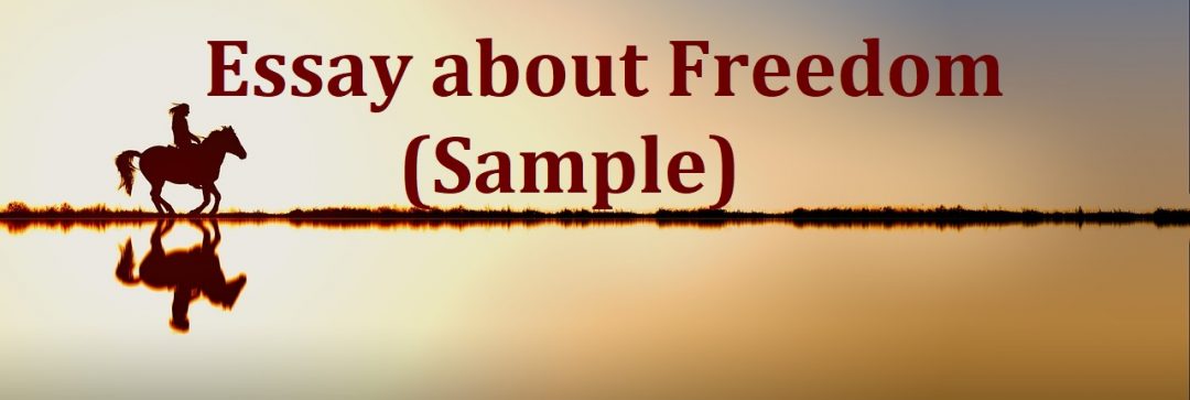 what is freedom day essay